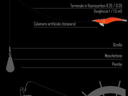 Terminali da pesca &raquo; Pesca della Seppia